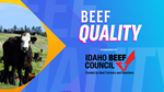 Beef Quality Image 600x338