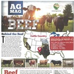 Ag-Mag-Beef square