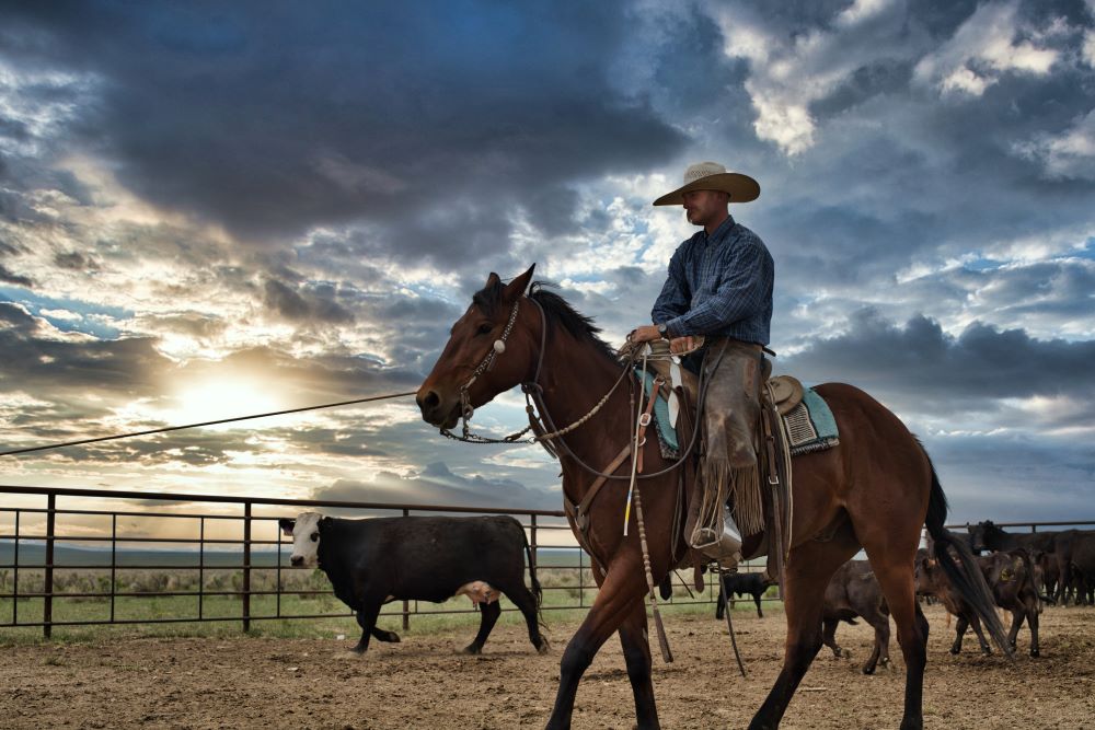 Brackett Ranch