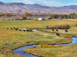 dowton-ranch-202401