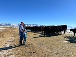 Gem Valley Cattle