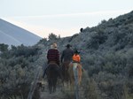 lufin-shiner-ranch.jpg
