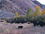 sarah_baker_drone-46.jpg